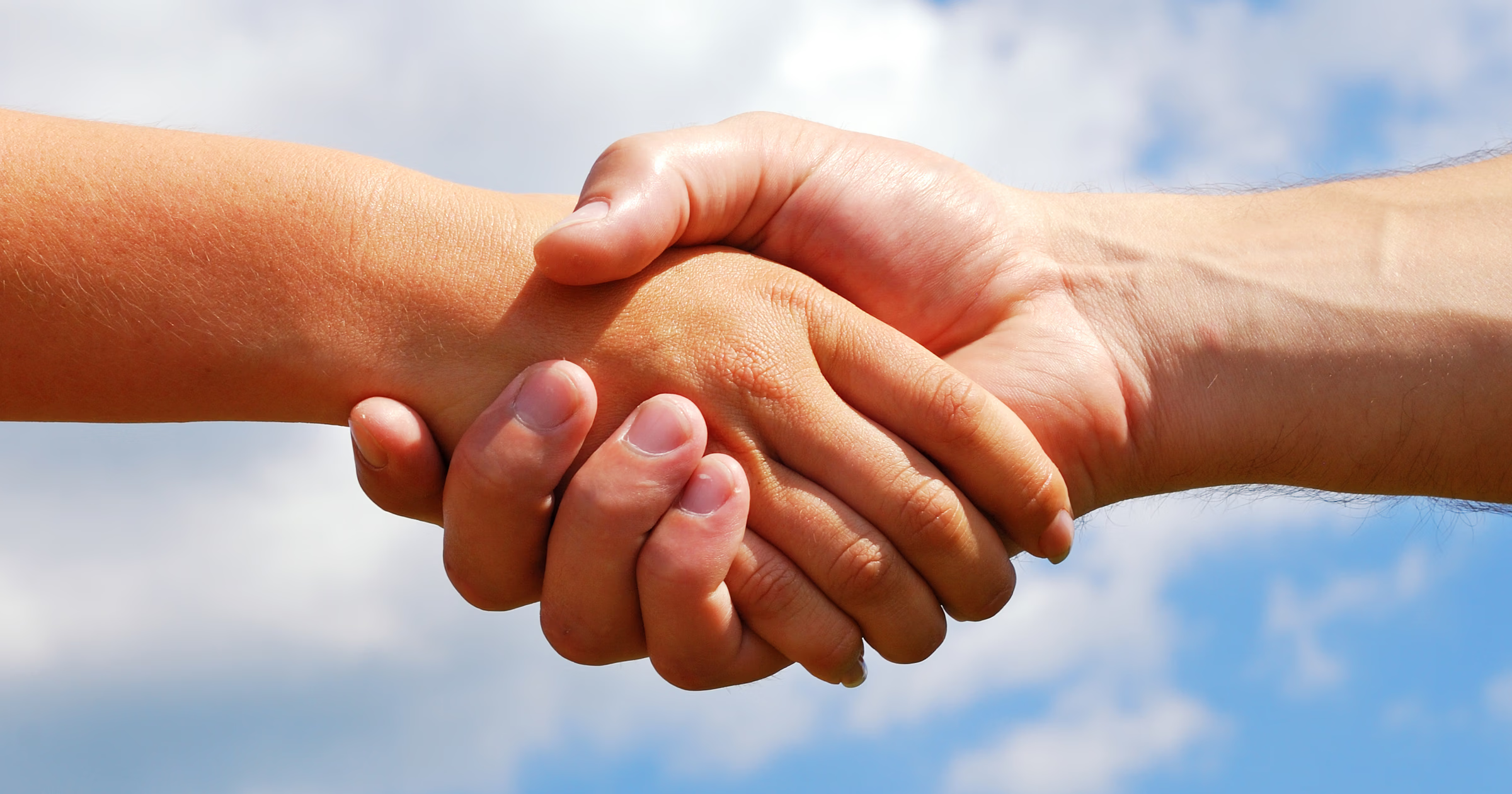 Farmageddon - nowoczesne gospodarstwo łączące tradycyjne rolnictwo z cyfrowymi rozwiązaniami