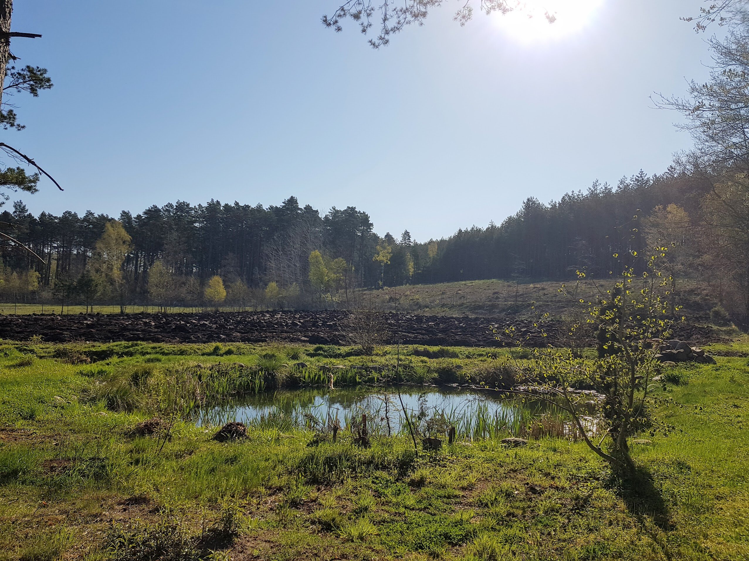 Farmageddon – nowoczesne rolnictwo